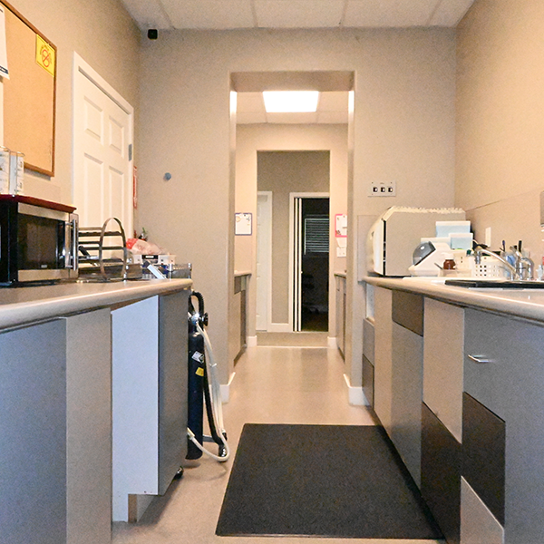 Office Tour